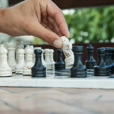 Elaion Terra Boutique Pensiune