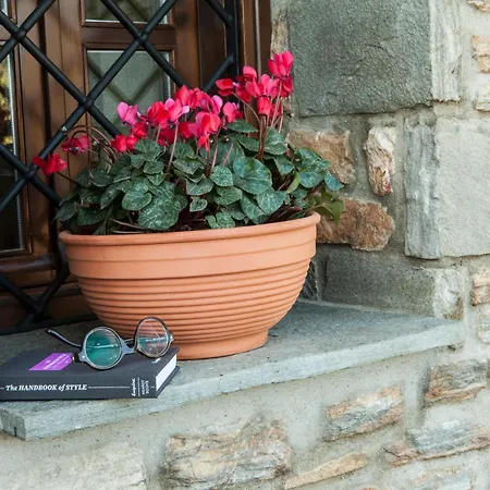 Elaion Terra Boutique Pensiune 4*