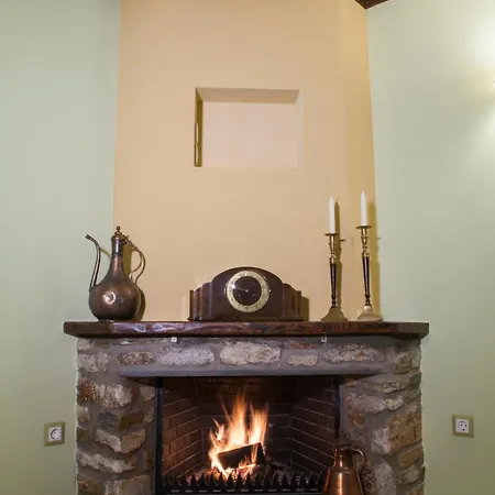 Pensiune Elaion Terra Boutique 4*