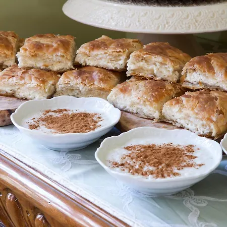 Elaion Terra Boutique Pensiune 4*