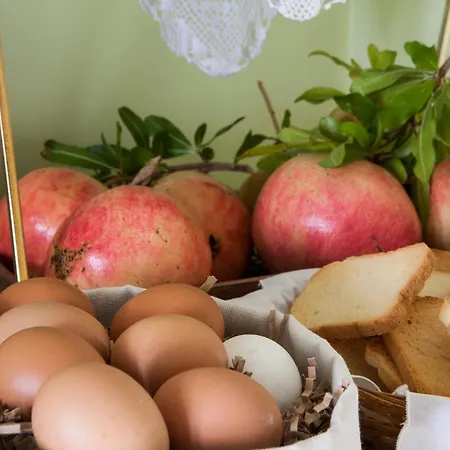 Elaion Terra Boutique Pensiune Theologos (Thasos)