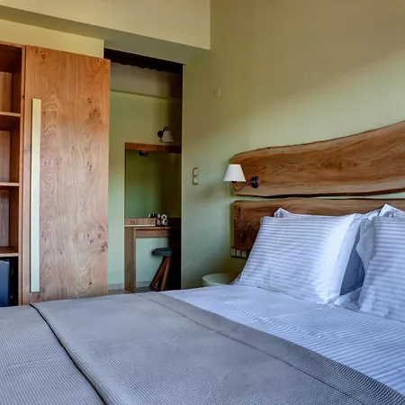 Pensiune Elaion Terra Boutique Theologos (Thasos)