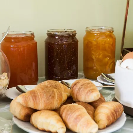 Elaion Terra Boutique Pensiune