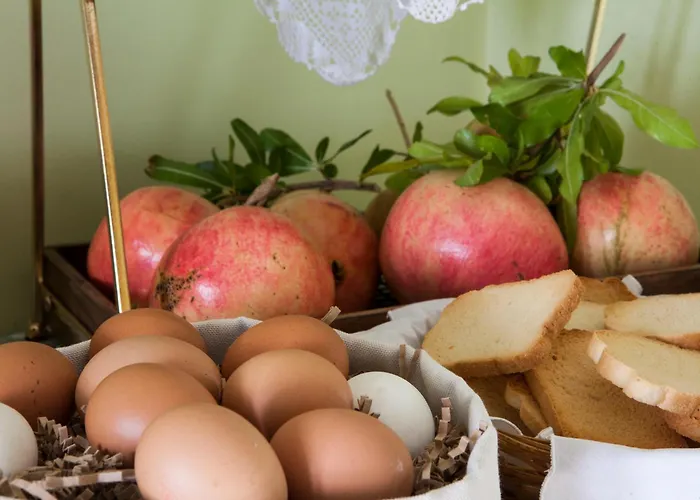 Elaion Terra Boutique Konukevi Theologos (Thasos)