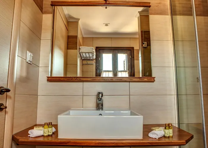 Konukevi Elaion Terra Boutique 4*